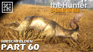 the Hunter: Call of the wild CZ | Jak se dělá pořádný lovecký tlak - #60 | Lets play | Česky