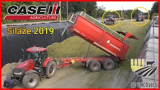 Siláže 2019 / Corn Silage | Práce na Silážní Jámě - Vyklápění + Nahrnování a Lisování | ZD UNČOVICE