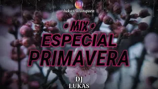 •MIX PRIMAVERA• 🎉ALTA PREVIA🎉 | ENGANCHADO FIESTERO | CLANDESTINA ATR | DJ LUKAS