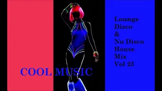 Lounge Disco & Nu Disco House Mix Vol 25