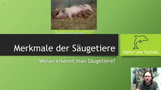 Merkmale der Säugetiere