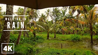 [4K HDR] Walking in Heavy Rain ,Trivandrum Umbrella Binaural 3D Rain Sounds ASMR