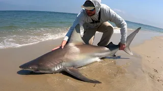 Massachusetts Shark Fishing From Shore - Part 1 (4K)