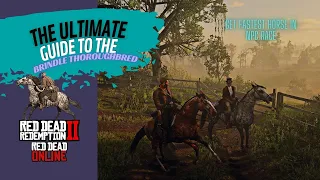 Ultimate Guide to Finding the Brindle Thoroughbred • Fastest Horse in Red Dead Redemption 2 • RDR2