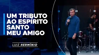 MEVAM OFICIAL - UM TRIBUTO AO ESPÍRITO SANTO MEU AMIGO - Luiz Hermínio