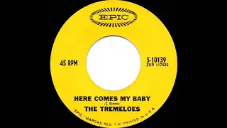 1967 HITS ARCHIVE: Here Comes My Baby - Tremeloes (mono)