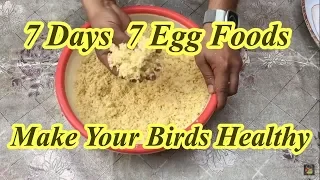 7 Days 7 Type Of Egg Foods||Natural Antibiotics Vitamins And Calcium [Hindi/Urdu]