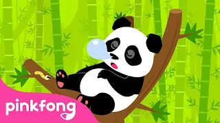 Panda | Lagu Binatang | Kartun & Lagu Anak | Pinkfong dan Baby Shark