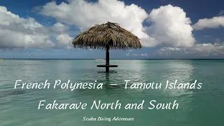 French Polynesia, Tuamotu Islands, Fakarava South and North a Scuba Diving Adventure