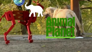 7-Animal Planet Spoof Pixar Lamp Luxo Jr Logo (Verzion 2)