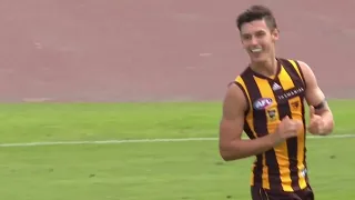 Richmond tigers vs Hawthorn hawks pre-season match “Clips”