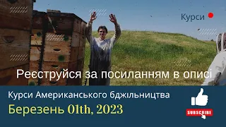 Давайте розповім про мою професійну діяльність. КУРСИ АМЕРИКАНСЬКОГО БДЖІЛЬНИЦТВА