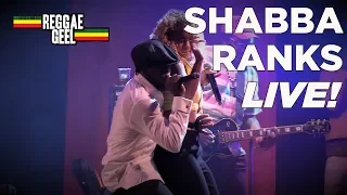 SHABBA RANKS LIVE @ REGGAE GEEL 2018 BELGIUM FULL SHOW