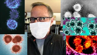 What is the difference between the Corona Virus, SARS, and MERS?