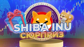 ВАЖНО! SHIBA INU СЮРПРИЗ ЧЕРЕЗ ДВА ЧАСА! КУСАМА НАМЁК НА БУДУЩЕЕ SHIB! НОВОСТИ SHIBA INU!