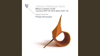 Cantata in E Major "Es ist dir gesagt, Mensch, was gut ist", BWV 45: II. Recitativo "Der...