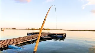 Pescaria de tilapia, tucunaré e porquinho. ESSA MESMA TECNICA PEGA TODOS..