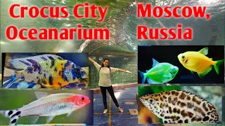 Crocus City Oceanarium Moscow,Russia