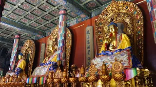 Fascinating Buddhist temples in China