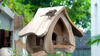 Make Easy DIY Wooden Bird House and Bird Feeder