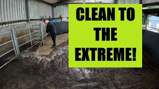 PRESSURE WASHING / JET WASHING A MUCKY COW SHED! #timelapse #pressurewashing #jetwashing