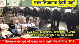 किसान के घर दूध की बाल्टी भर दे, म्हारी भैंस चैंपियन 🏆 है || Pawan Lijwana Dairy Farm Lijwana Khurd