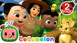 Cody and Cece's Nature Walk | CoComelon - It's Cody Time | CoComelon Songs for Kids & Nursery Rhymes