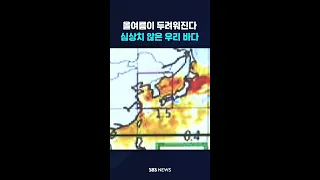 올여름이 두려워진다…심상치 않은 우리 바다 #shorts