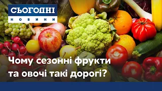 Ціни на фрукти та овочі в Україні. Чому сезонна городина коштує дорого?