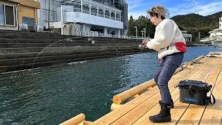 Fishing at a Little-known Spot to Catch Fish for Tempura!