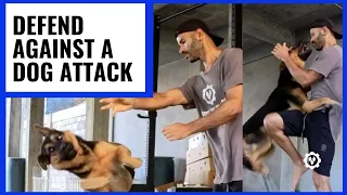 How to Defend Against Dog Attack