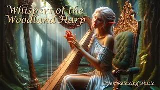 Whispers of the Woodland Harp ✨Elven Chill Lofi Sounds
