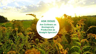 Ask Doug: Cultivars vs Straight Species Native Plants