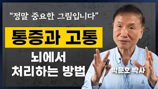 뇌가 처리하는 통증과 고통의 원리 (박문호 뇌과학자 강연2부)