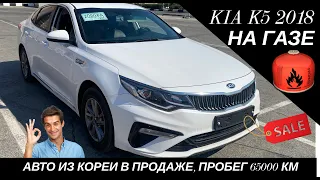 Kia K5 2018 НА ГАЗЕ С ЗАВОДА! Расход мизерный. Авто в продаже. #автоконсалт.рф