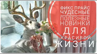 ФИКС ПРАЙС ГОРЯЧИЕ Новинки июль 2023  ТОЧНО ПОНРАВИТСЯ😍 творчество-деньги/ САМЫЕ НЕПРИХОТЛИВЫЕ ЦВЕТЫ