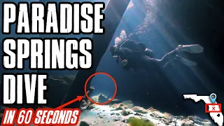 Paradise Springs Scuba Diving - Down to 60