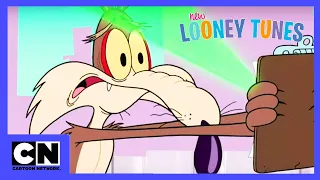 Neue Looney Tunes | Mission zur Zerstörung des Road Runner | Cartoon Network