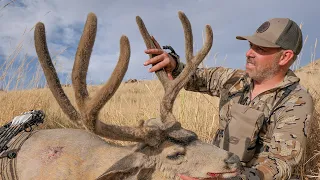 NEVADA MULE DEER Early Archery with Tim Burnett SOLO HNTR