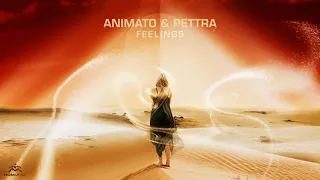 Feeling- pettra & animato  - HOMmega