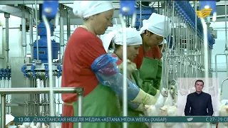 В Жамбылской области птицефабрика начала экспорт продукции