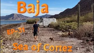 BAJA ! SEA OF CORTEZ !