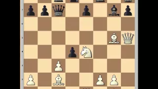 Tactical vs positional player: Tal vs Karpov