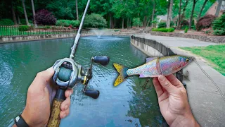 Fishing HIDDEN Urban PONDS For Aggressive BASS! (Bank Fishing)