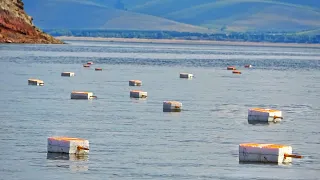 CARP ON FLOATS-SHIFTERS! THIS IS HOW THE LOCALS CATCH IN KHAKASSIA! Overnight fishing