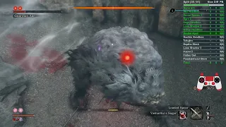 Sekiro Double Apes AP1 DB+Charmless cheese strat