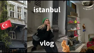 влог из стамбула 🇹🇷  | прогулки по центру, кофейни, шоппинг | турецкие коты и поездка на пароме