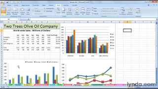 Excel Tutorial - Manage multiple worksheets