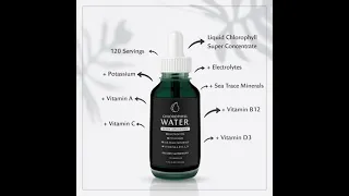 Chlorophyll Water® SUPER CONCENTRATE Liquid Chlorophyll Drops w/ Electrolytes, Minerals, Vitamins