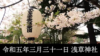 東京大衆歌謡楽団 令和五年三月三十一日 浅草神社 奉納演奏